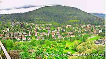 Bürgerbeteiligung: Wie sieht Bad Herrenalb in einigen Jahren aus?