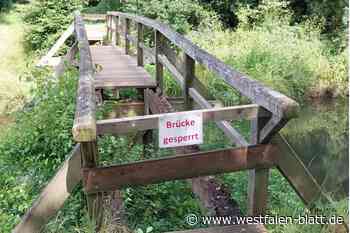 „Simple und pfiffige Konstruktion“