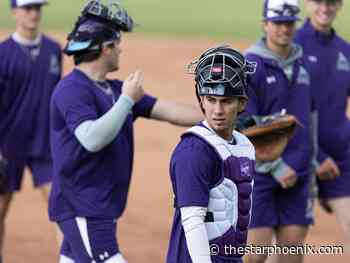 Saskatoon Berries: Team ready to taste the action at inaugural WCBL home opener