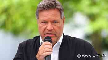 „Bürger als Versuchskaninchen“ – Habecks entlarvende Heizungs-Selbstkritik