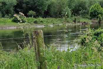 Fonds van 1 miljoen moet otter, edelhert, zeearend en zwarte ooievaar terug naar Maasvallei lokken