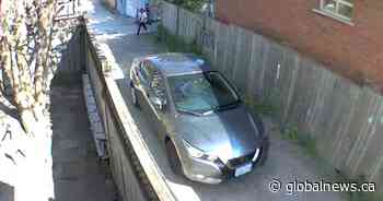 Warrant issued for suspect connected to central Hamilton ‘gunfight’: police