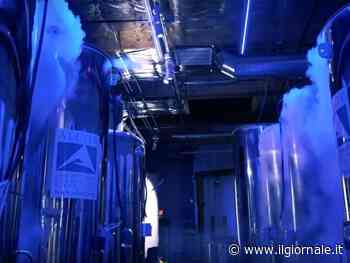 Svizzera, parte l'esperimento sulla criogenizzazione: corpi congelati dopo la morte. Come funziona