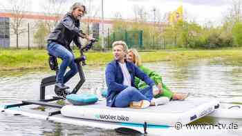 "Die Höhle der Löwen": Drei Löwen in Seenot