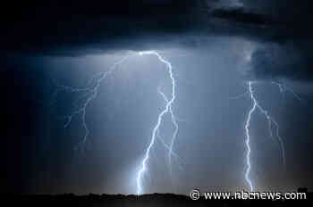 Colorado rancher and dozens of cows killed in lightning strike