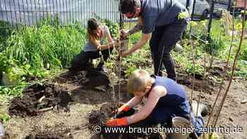 Süße Versuchung: Naschhecke im Söllinger Naturerlebnisgarten