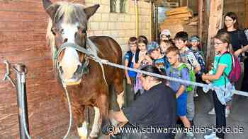 „Unser Hochdorf“: Ein ganzes Dorf bringt sich beim Schulprojekt ein