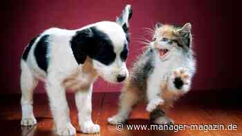 Feedback: Gute Kommunikation über Kultur-, Geschlechter- und Generationengrenzen