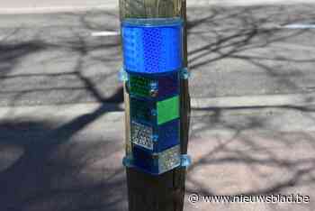 Extra wildspiegels beschermen overstekende reeën