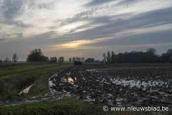 Ruimte geven aan water: Gemeenteraad keurt hemelwater- en droogteplan goed