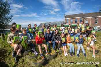Affligemse scholieren knutselen bijenhotels in elkaar: “Belang van bijtjes benadrukken”