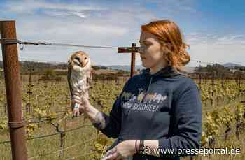 Der MDR zum Weltumwelttag: „Gute Nachrichten vom Planeten“