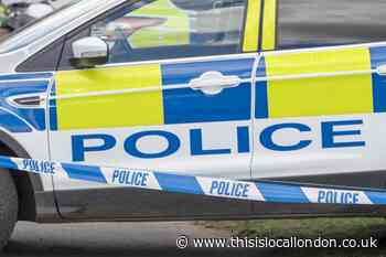 Man guilty of south east London murder over sham marriages scam