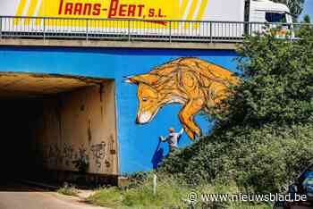Battenbroektunnel wordt omgevormd tot ecotunnel: “Het wordt een veilige en natuurlijke doorgang voor dieren”