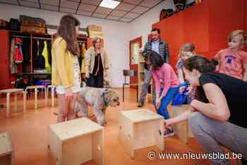 Leerlingen van Mechelse scholen krijgen bezoek van aaihond: “Belangrijk dat ze juist met honden leren omgaan”