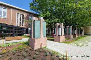 Plein aan Mortselse academie kleurt groener