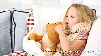 Auch im Kreis Calw: Keuchhusten-Epidemie greift um sich