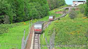 Sportliches Großereignis: Stäffeleslauf lockt viele Teilnehmer nach Bad Wildbad
