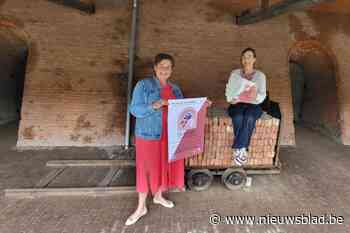 Noeveren Brandt! weer elf dagen lang van kunst in al zijn vormen