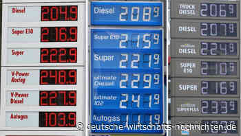 Tricksten Ölkonzerne bei Klimaprojekten? Umweltbundesamt ermittelt