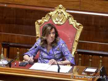 "Vergogna". "Sta strumentalizzando". Scintille al Senato tra Borghi e Casellati