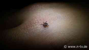 FSME-Risikogebiete: In diesen Bundesländern herrscht Zecken-Gefahr