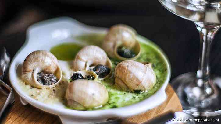 Smullen van slakken? 'Laat die zonder huisje liggen, die zijn echt smerig'