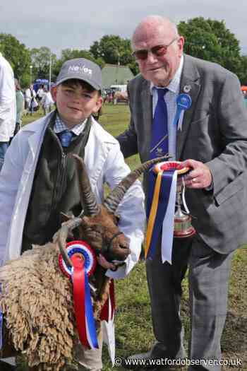 Herts County Show delivers big crowds despite poor weather
