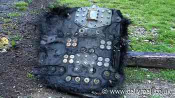 Experts say they've identified 'hairy UFO' that crash landed in North Carolina