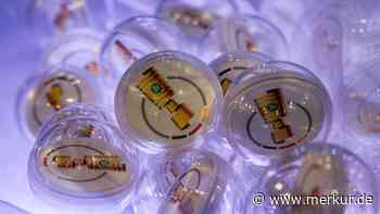 Termine, Gegner, Auslosung: FC Bayern München in der 1. Runde des DFB-Pokals