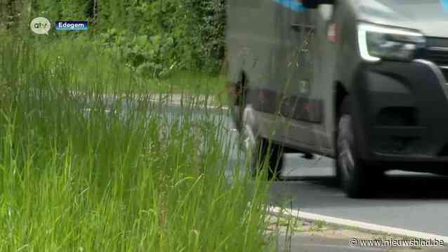 Inwoners van Edegem niet te spreken over gras dat al even niet meer gemaaid wordt, maar dat heeft een goede reden