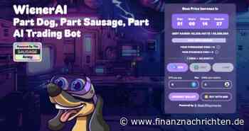 Top 3 Memecoins mit Explosionspotenzial im Juni