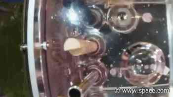 Just keep swimming! Zebrafish doing fine in zero gravity on China's Tiangong space station (video)