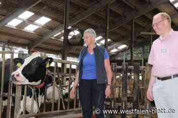 Klimaschonende Landwirtschaft: Am Moorrand ist es mühsamer