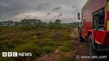 Heath fire started deliberately, fire service says
