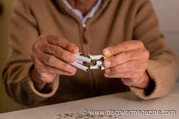 These Human-Made Items Carry Carcinogens that Cause Cancer