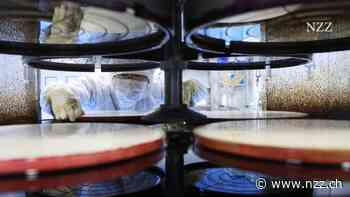 China investiert fast 44 Milliarden Euro in die Chipindustrie