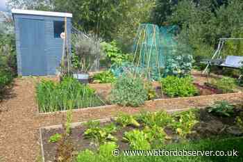 Great Big Green Week events in Watford and Three Rivers