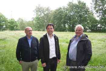 Stad zoekt koper om nieuwe verkaveling te realiseren: “Woonproject op maat van een dorp”