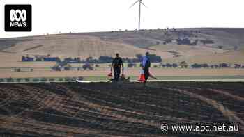 Calls for powerline marking programs after light plane crash investigation