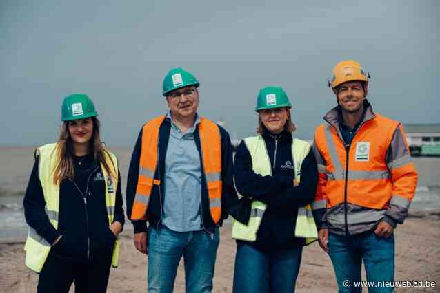 Tientallen ‘ecoblokken’ in nieuwe strekdam moeten biodiversiteit in de Noordzee aanwakkeren: “We zitten écht met een probleem”