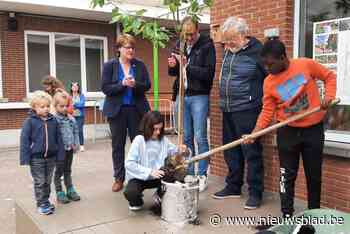 Aanleg van groene speelplaats voor basisschool officieel gestart