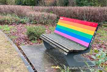 Geen regenboogzebrapad maar kunstwerk om solidariteit  met lgbtq+-gemeenschap te tonen: “Wij gaan verder”