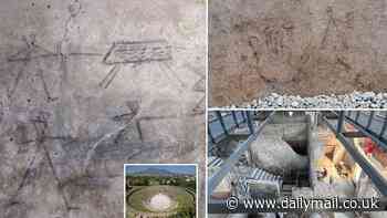 Pompeii's hidden graffiti revealed: Ancient drawings depicting gladiators were made by children as young as five after watching the Roman fighters 2,000 years ago, experts say