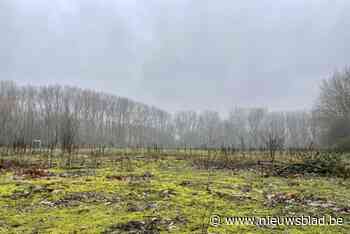 Regels rond begrafenissen aangepast: natuurbegraving met lijkwade, ook bijzetten van urne met overleden huisdier mogelijk
