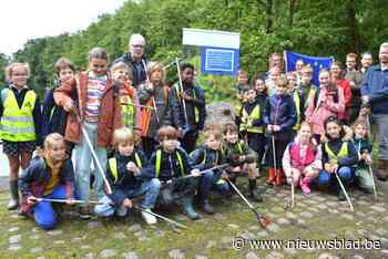 Ze zijn klein, schuw, hun poep geurt naar parfum én terug na vijftig jaar: 3 miljoen euro om van comeback otter succes te maken
