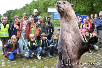 Hun poep geurt naar parfum én ze zijn na vijftig jaar terug: 3 miljoen euro om van comeback otter succes te maken