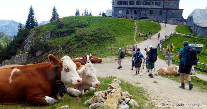 Rotwandhaus nach Magen-Darm-Erkrankungen zu: Ursachensuche