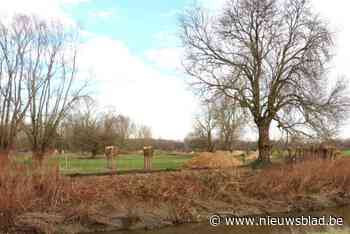 Gemeente koopt grond van OCMW Mechelen voor natuur, landbouw en wonen