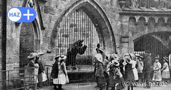 Zoo Hannover vor 100 Jahren: Wiedereröffnung nach dem Bankrott
